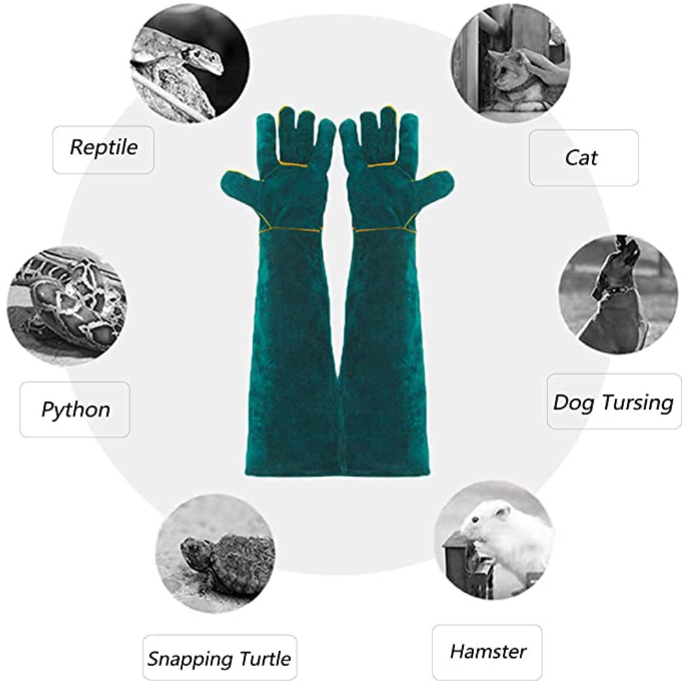 buy designed for veterinarians online