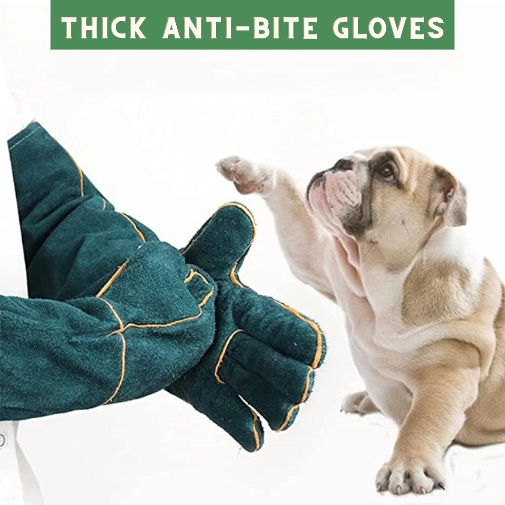 Bite Proof Gloves: image 2